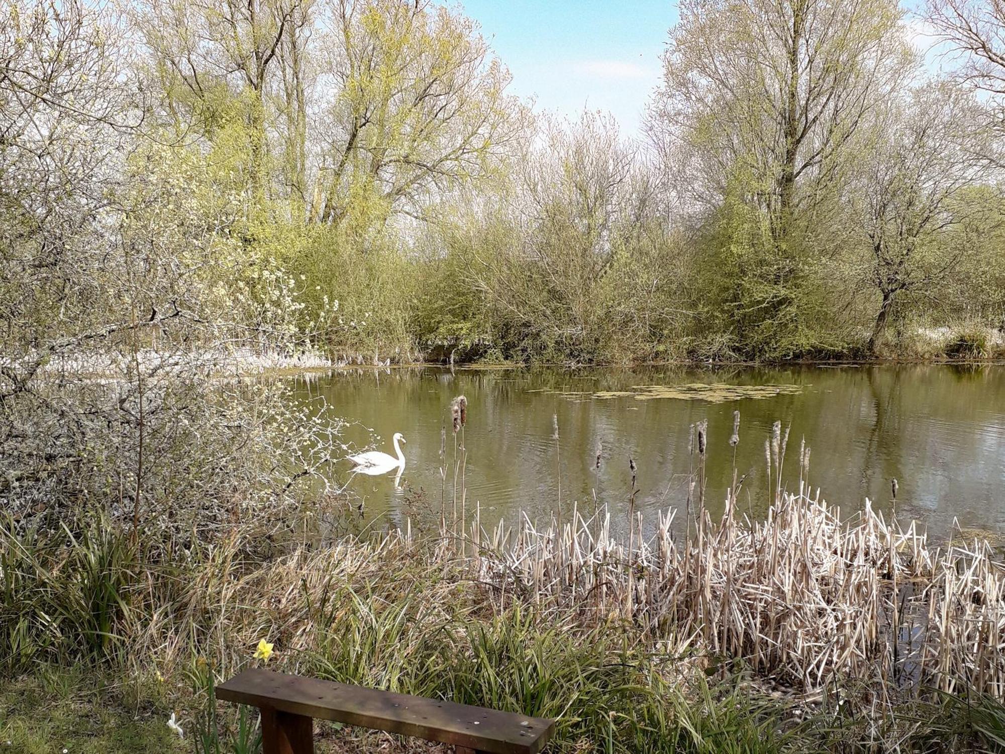 Herons Nest Bourton-on-the-Water ภายนอก รูปภาพ